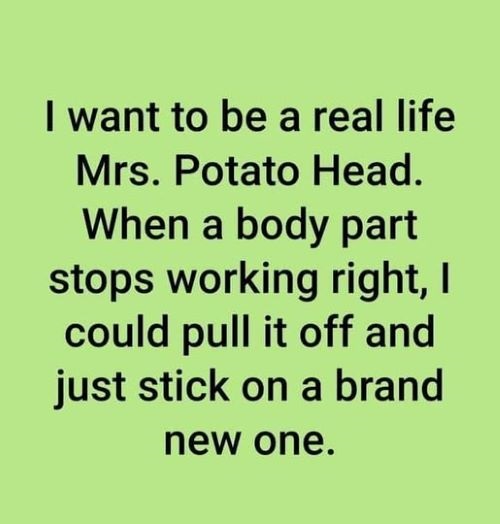 mrs potatohead.jpg